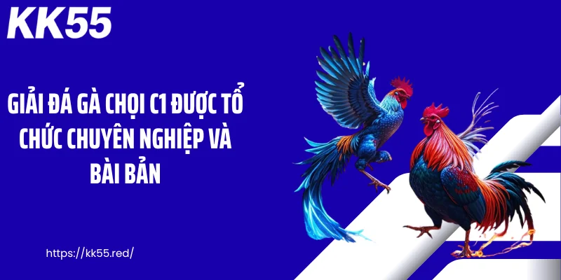 Giải đá gà chọi C1 được tổ chức chuyên nghiệp và bài bản