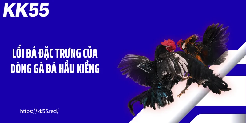 Lối đá đặc trưng của dòng gà đá hầu kiềng