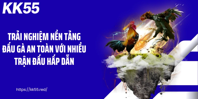 Trải nghiệm nền tảng đấu gà an toàn với nhiều trận đấu hấp dẫn